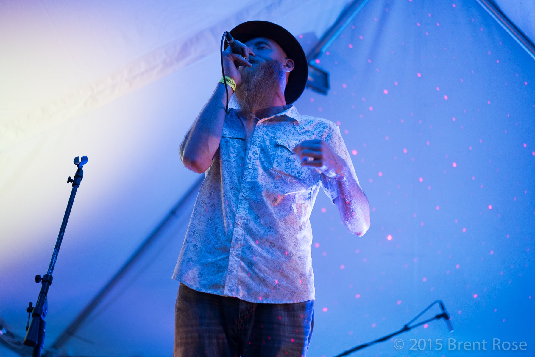 Photo: Brent Rose