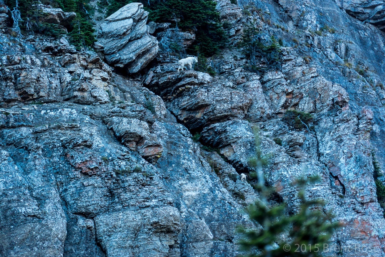 Photo: Brent Rose