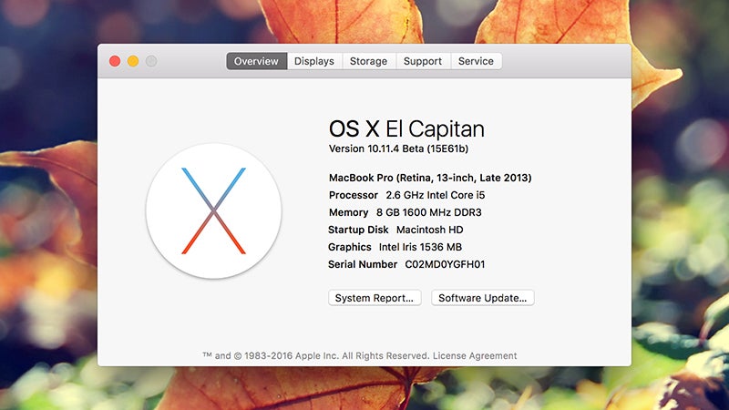 Photo: Gizmodo