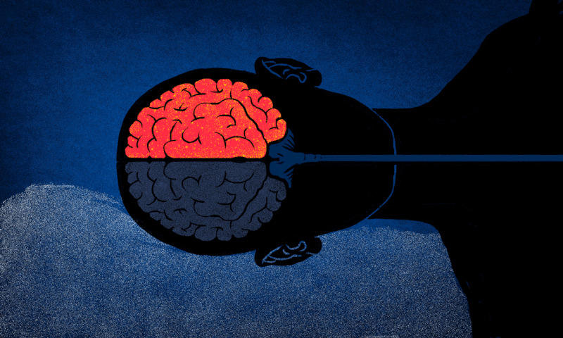 Illustración: Jim Cooke