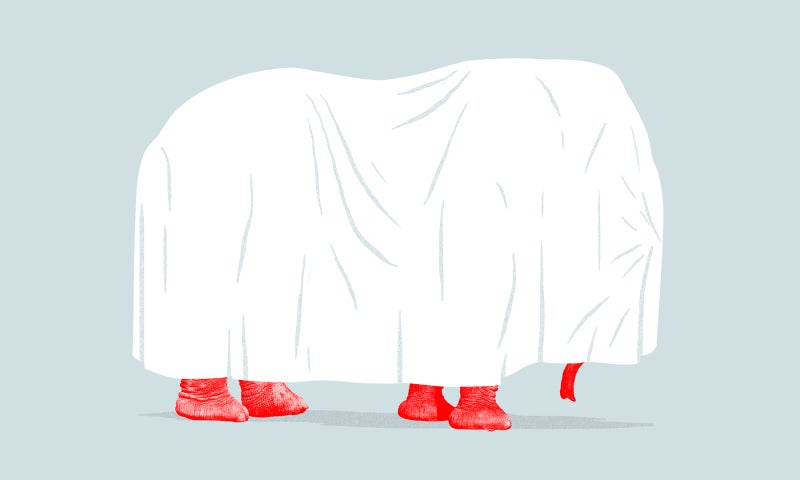 Ilustración: Jim Cooke