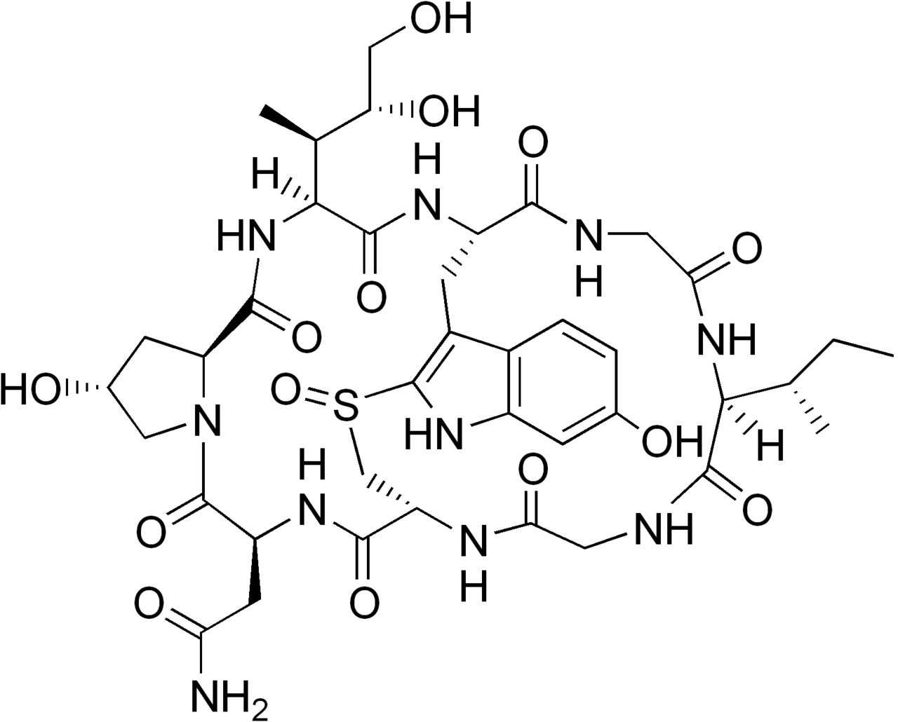 Bioquímica de la seta. Wikimedia Commons