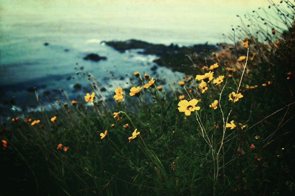 Imagen: Flickr