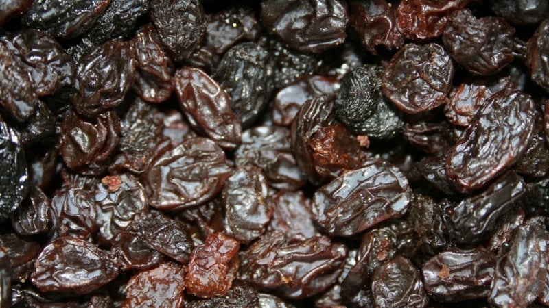 Photo: David Ross Harris