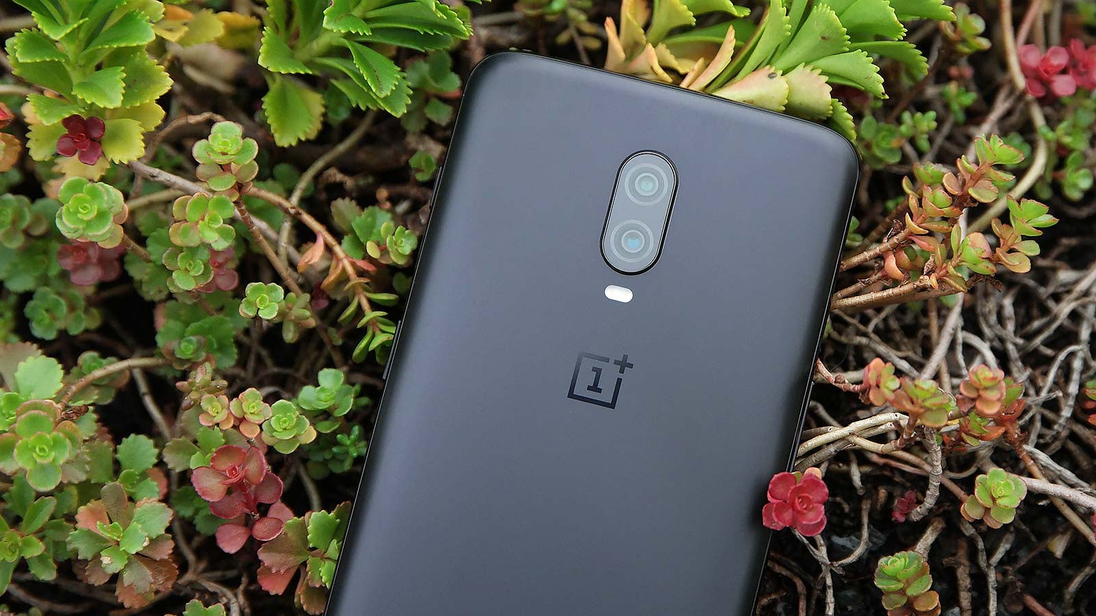 Las cámaras de 16 MP del OP6T no son las mejores, pero tampoco hay mucho de qué quejarse