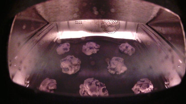 Ocho galletas es todo lo que puedes hornear en el Brava.