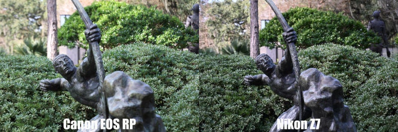 Si miras al tronco de árbol del fondo verás que la Z7 ofrece mejor rango dinámico. La imagen de la Z7 también es más nítida en las esquinas.