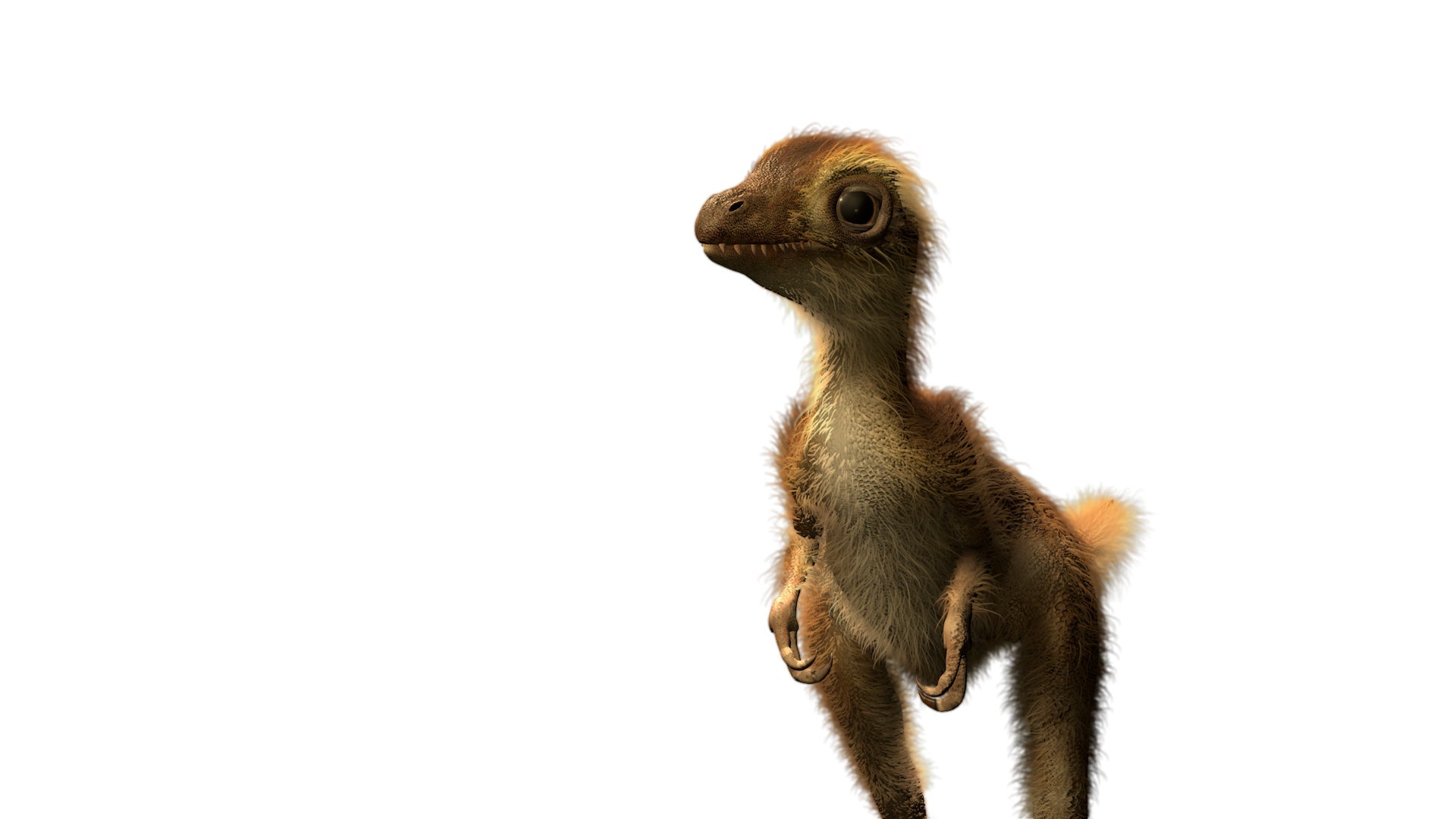 Una cría de T. rex. 