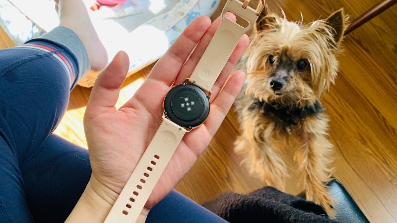El hardware y los sensores del reloj bebé son bastante fiables. El perro no viene incluido. Foto: Victoria Song (Gizmodo)