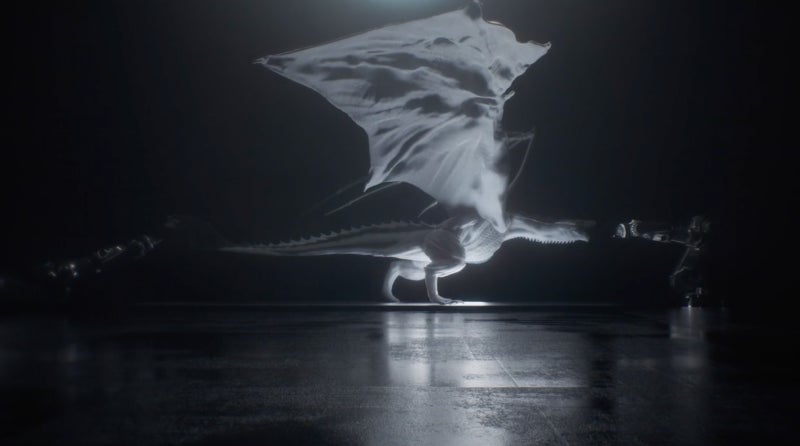 Imagen: Gilles Augustijnen (Vimeo)