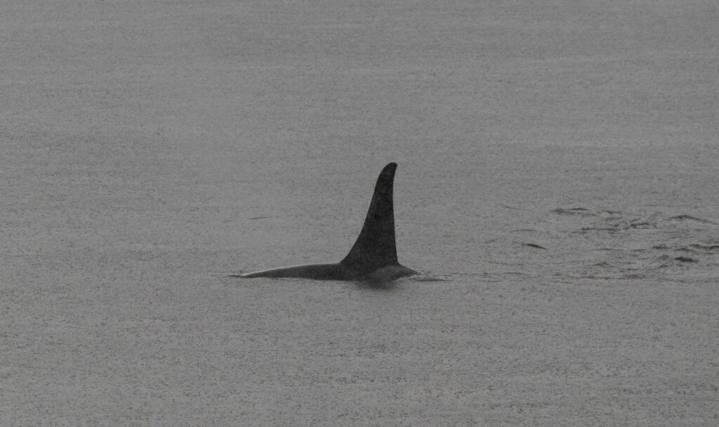 Photo: Boris Kasimov / Flickr