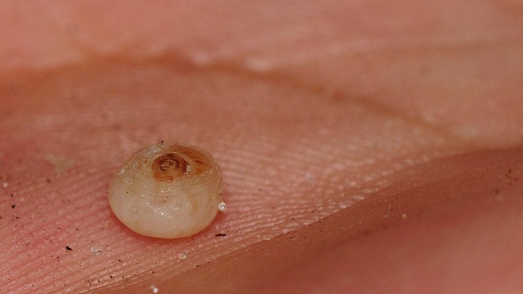 Image: Philipp Weigell