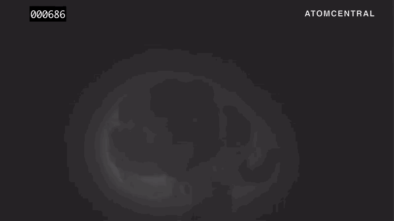 Gif: