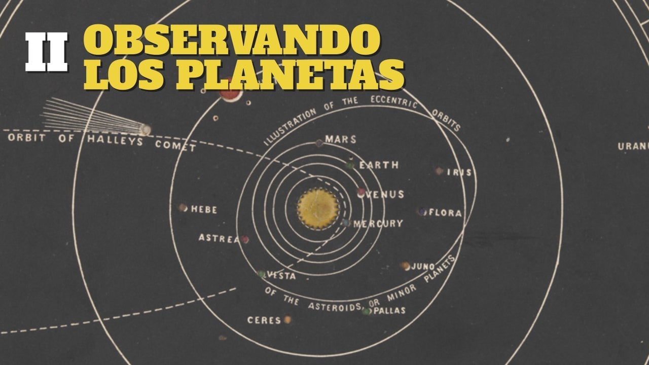 Image: Wikipedia Commons