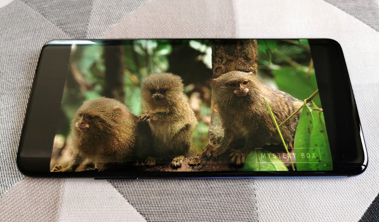 Photo: Carlos Zahumenszky