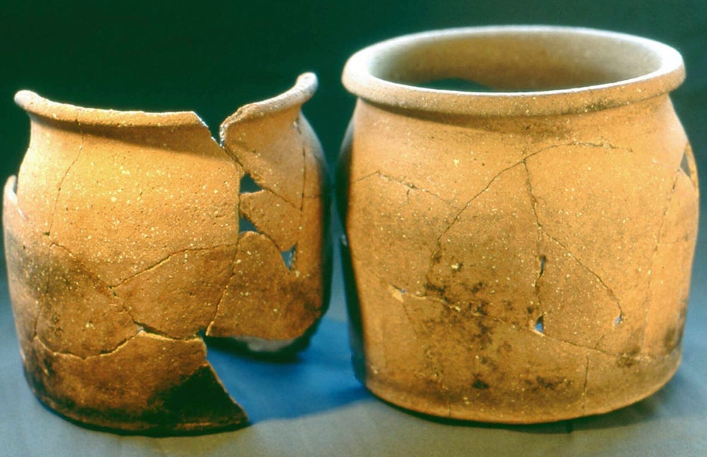 Photo: Universidad de Bristol