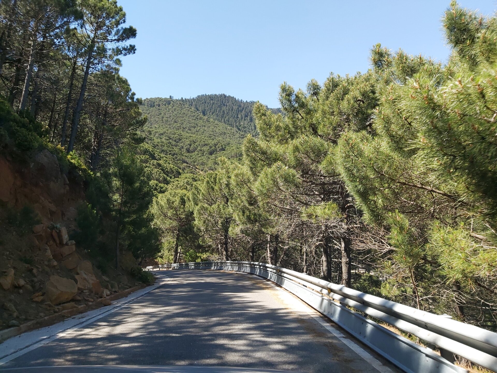 Photo: Matías S. Zavia