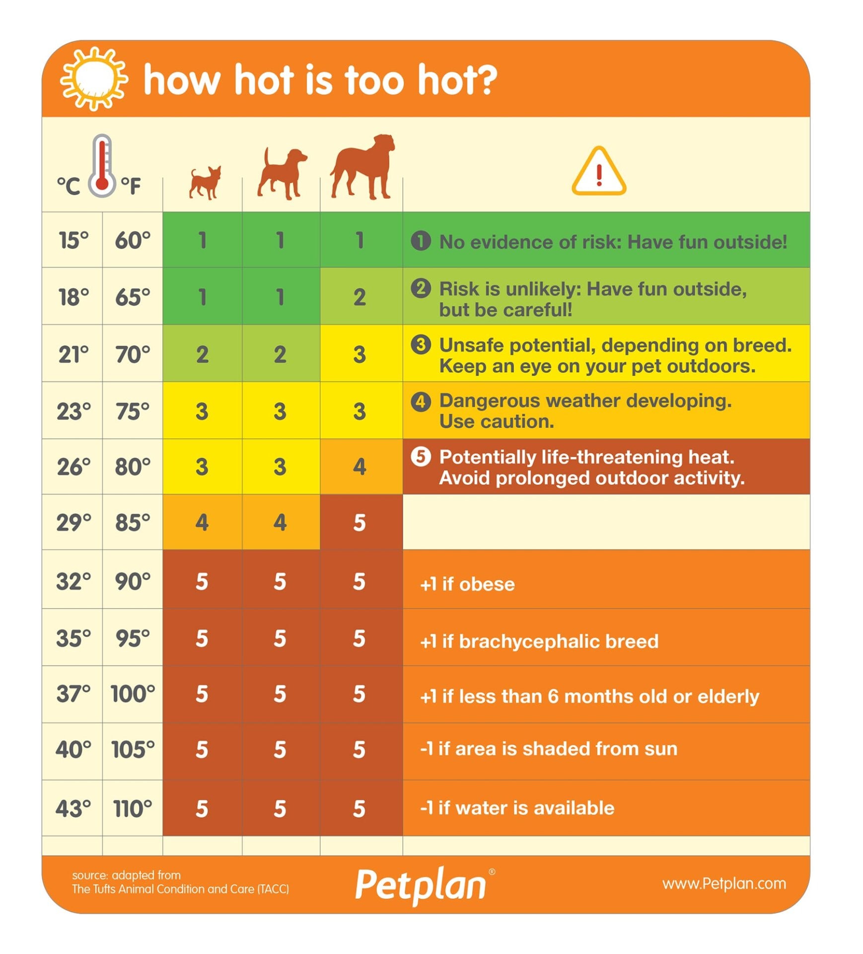 Graphic: Petplan