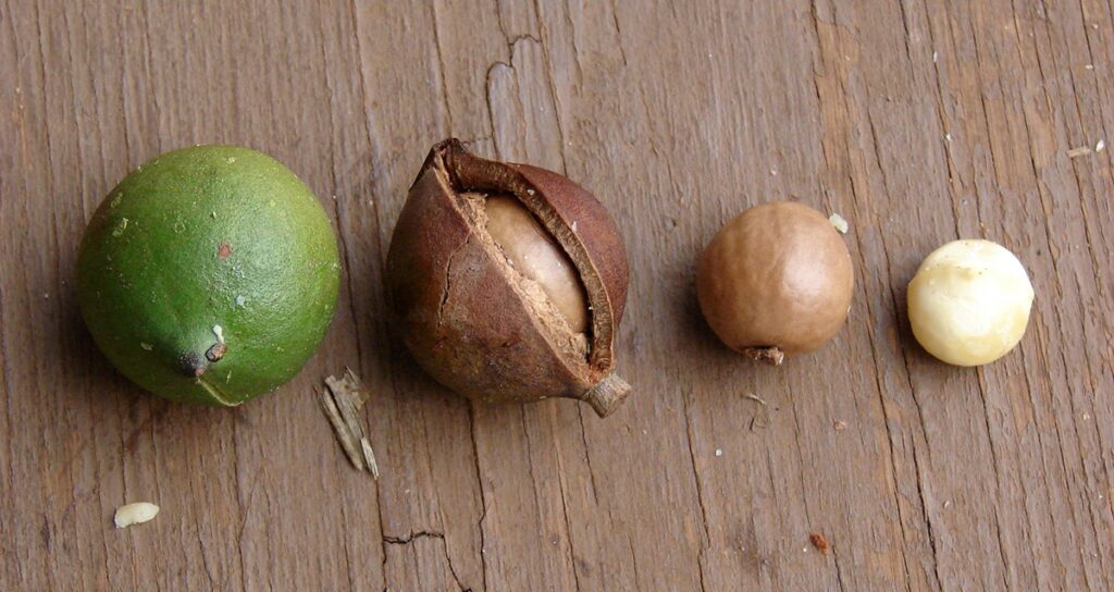 Photo: Forest and Kim Starr (Flickr)