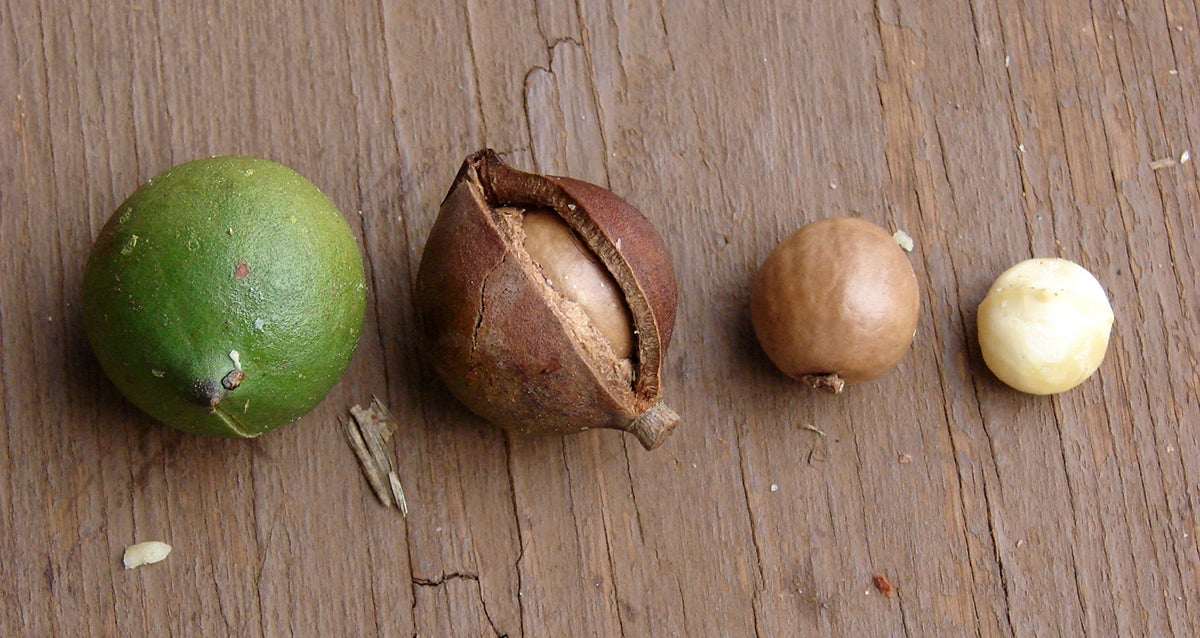 Photo: Forest and Kim Starr (Flickr)