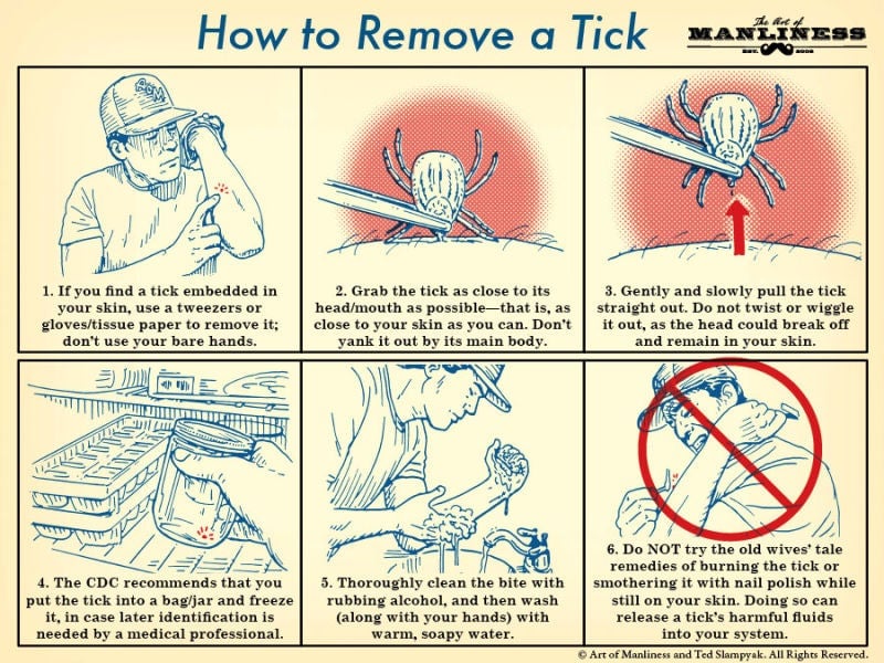 Image: Art of Manliness
