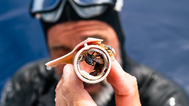 Photo: @thevortexswim