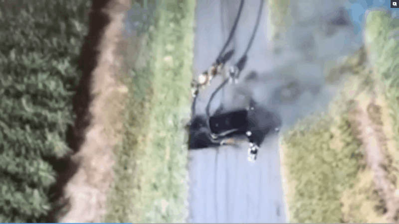 Gif: Ten Daily