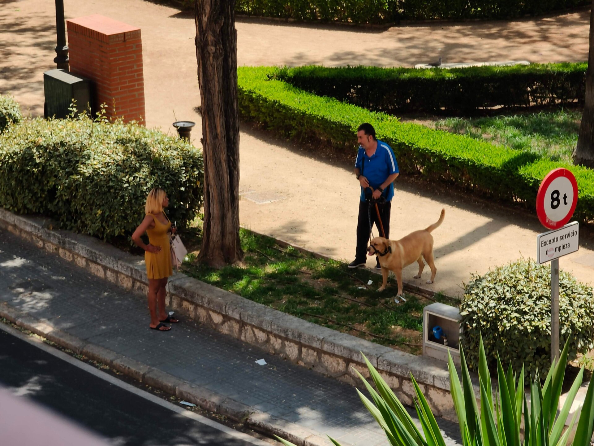 Cámara-periscopio (zoom de 6x)