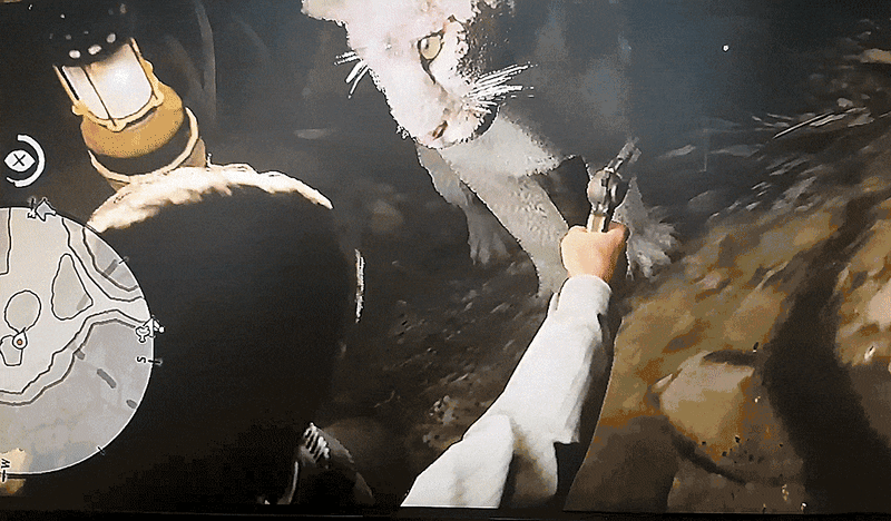 Gif: