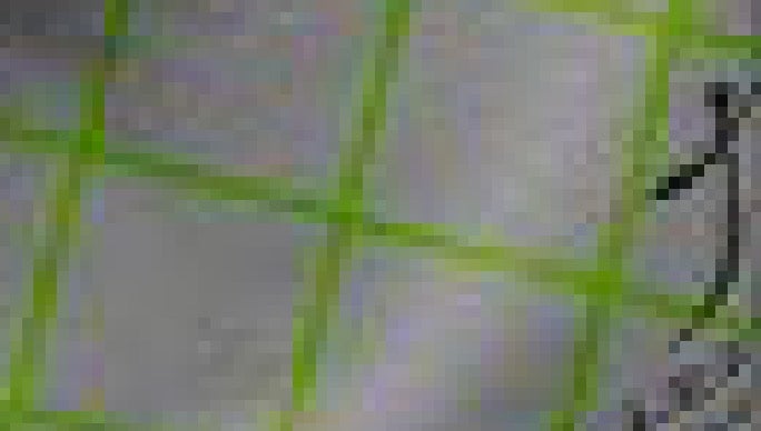 Image: Imagen ampliada de la camisa “verde” de la chica