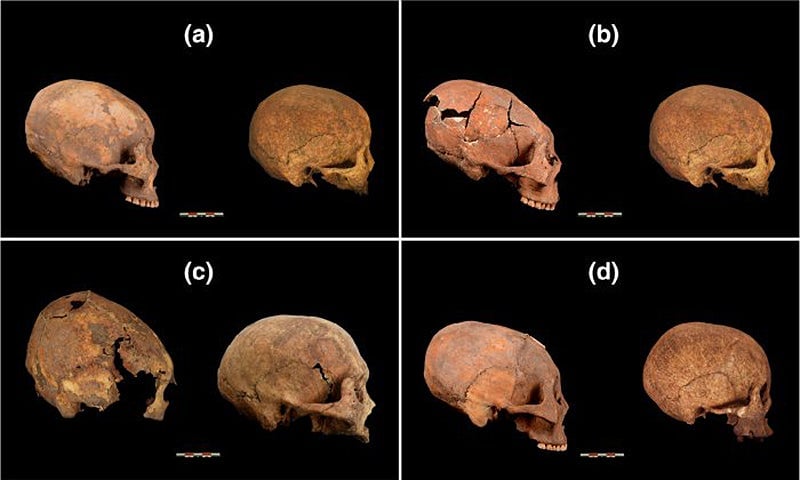 Photo: Zhang et al., American Journal of Physical Anthropology, 2019