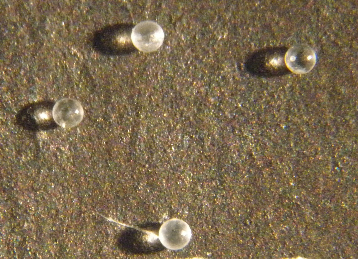 Cuatro microtectitas