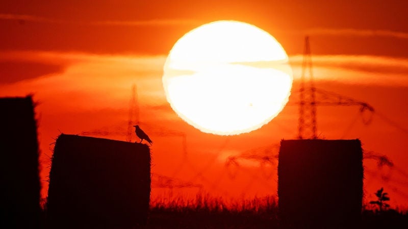 HACE. MUCHO. CALOR.
Foto: AP