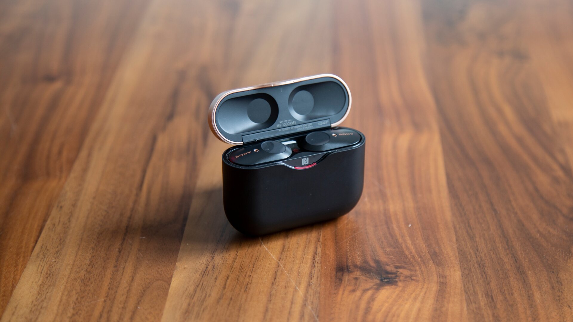 Photo: Adam Clark Estes