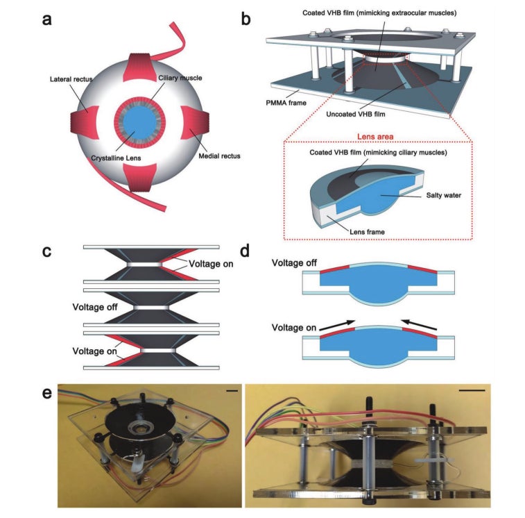 Photo: Advanced Science News