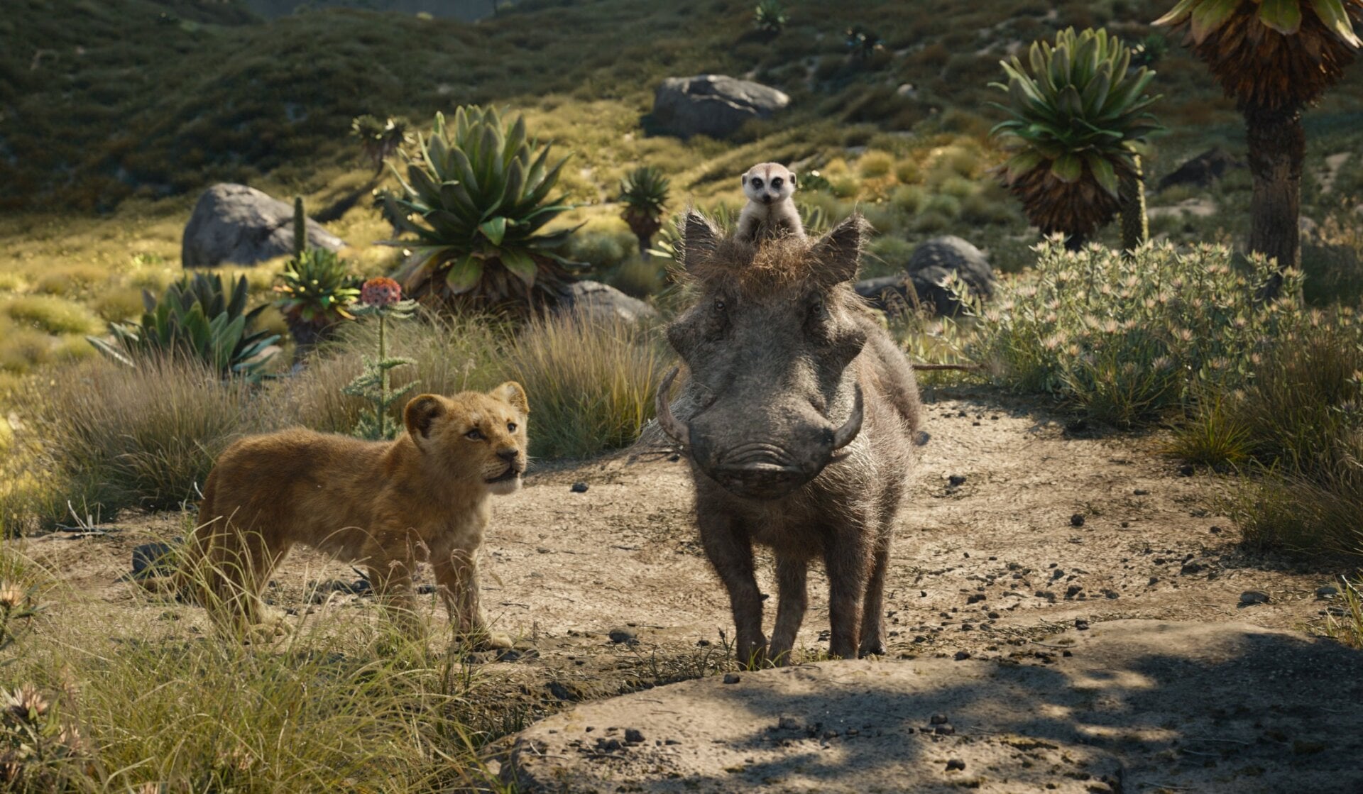 Timón y Pumba, las estrellas de la película.