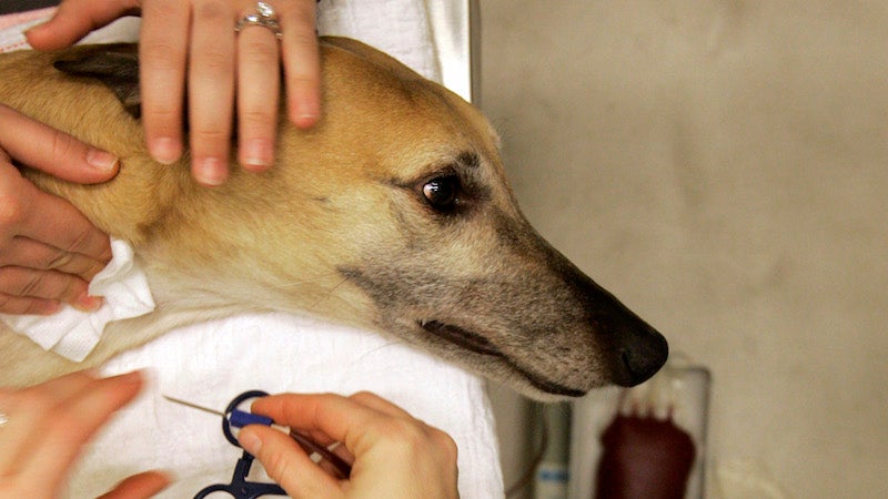 Photo: Kiichiro Sato