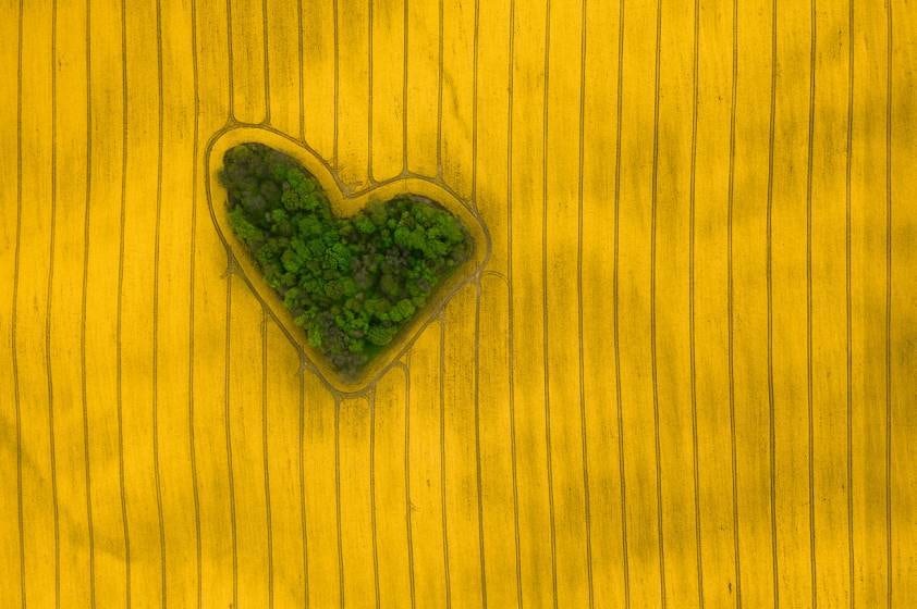 Image: Ganadora a la categoría naturaleza