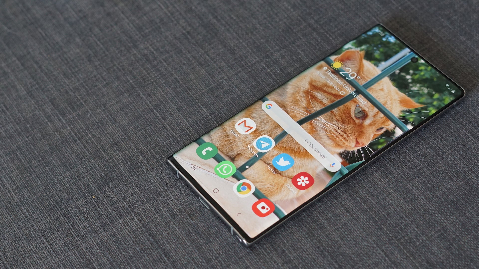 Photo: Matías S. Zavia