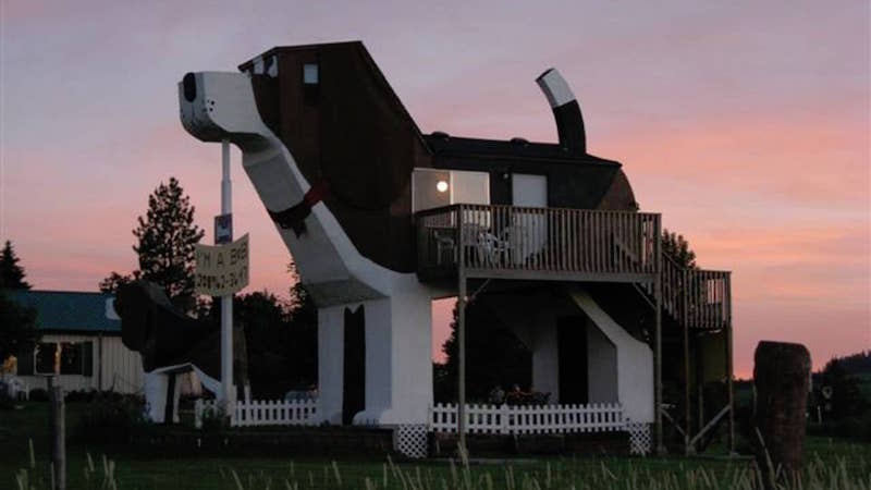 Photo: Dog Bark Park Inn