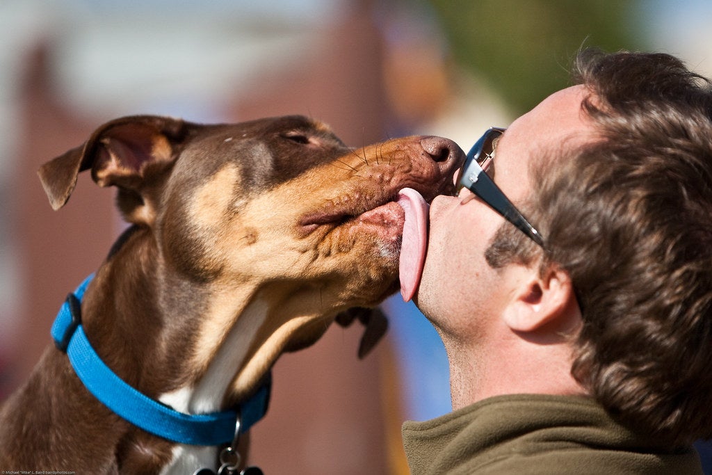 Image: Mike Baird