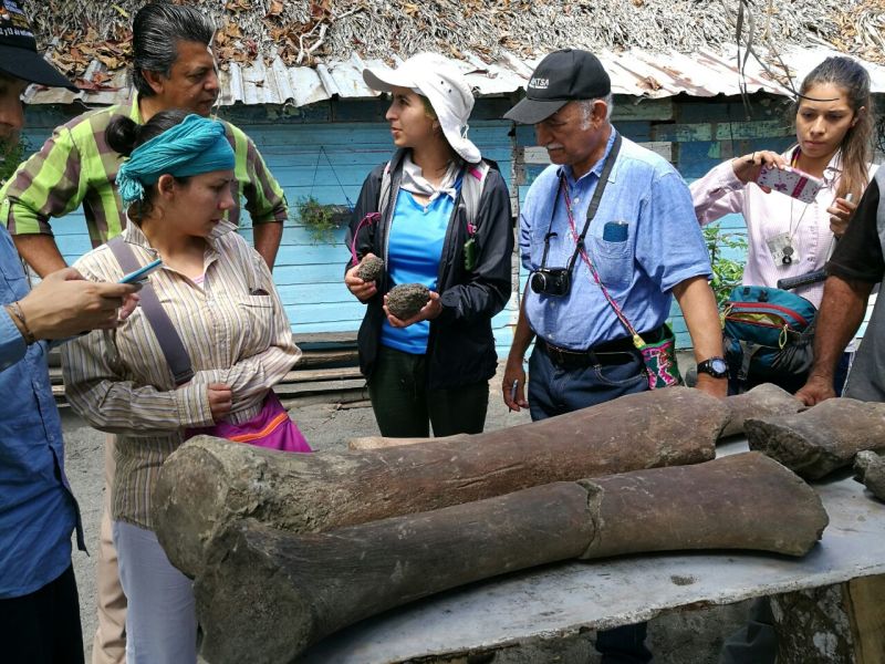 Photo: Dirley Cortés, de sombrero blanco, con los fósiles de ballena.