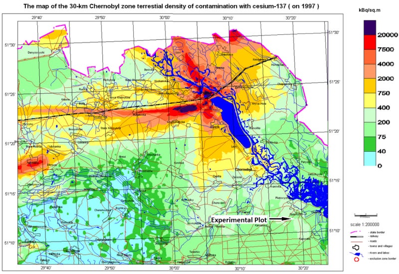 La ubicación de la parcela experimental donde se cultivó el grano utilizado para producir el vodka. El mapa es de 1997, y muestra la distribución del cesio radiactivo en la zona de exclusión. Imagen: Ukraine Institute of Agricultural Radiology