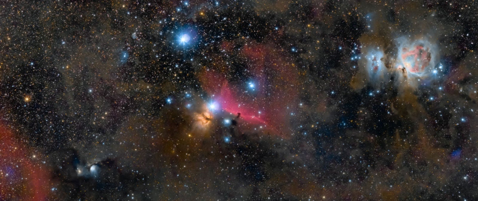 “The Jewels of Orion:” Co-ganador de “Mejor recién llegado”. La imagen muestra la constelación de Orion Imagen: Ross Clark, UK