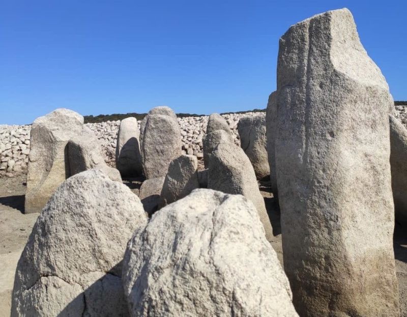 Imagen: Pleonr/CC BY-SA 4.0