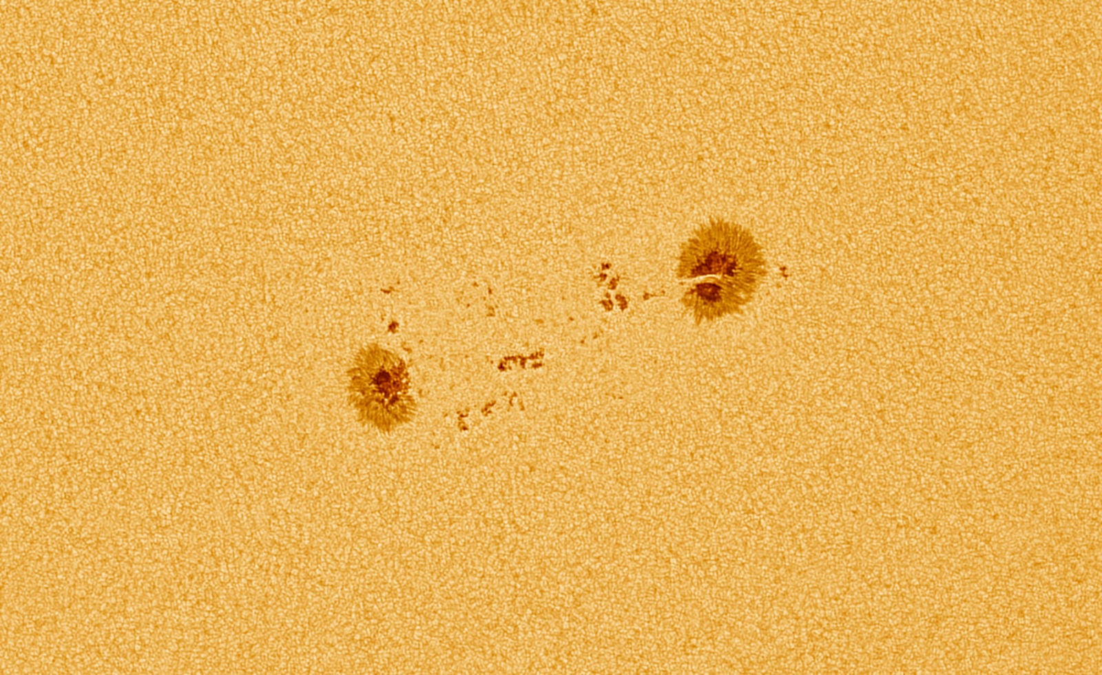 “AR 12699 Sunspot:”  Imagen: Matúš Motlo.