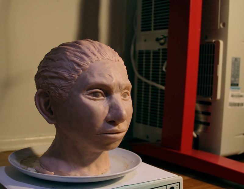 Image: Modelo 3D del individuo Denisovan reconstruido