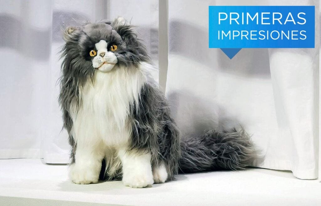 Photo: Carlos Zahumenszky