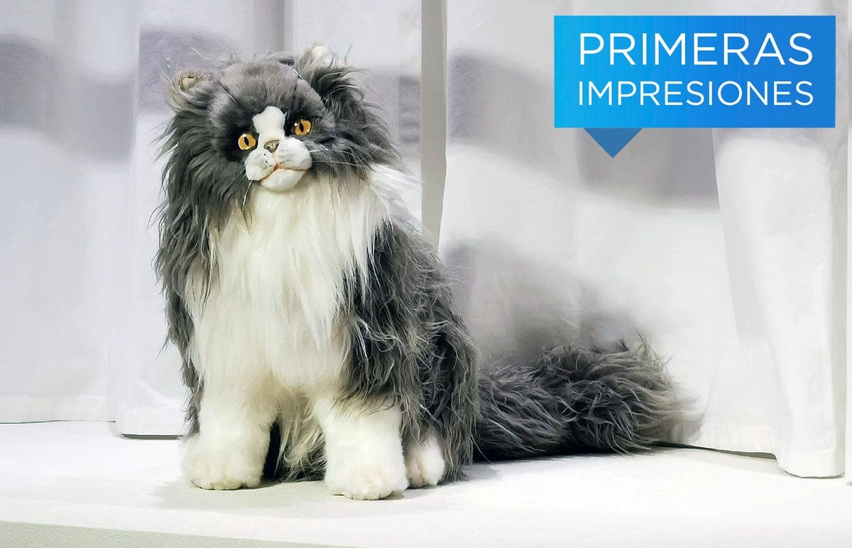 Photo: Carlos Zahumenszky