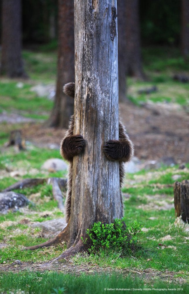 Image: